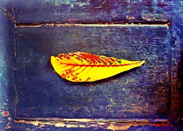 2017，让小小的梦想放飞吧！