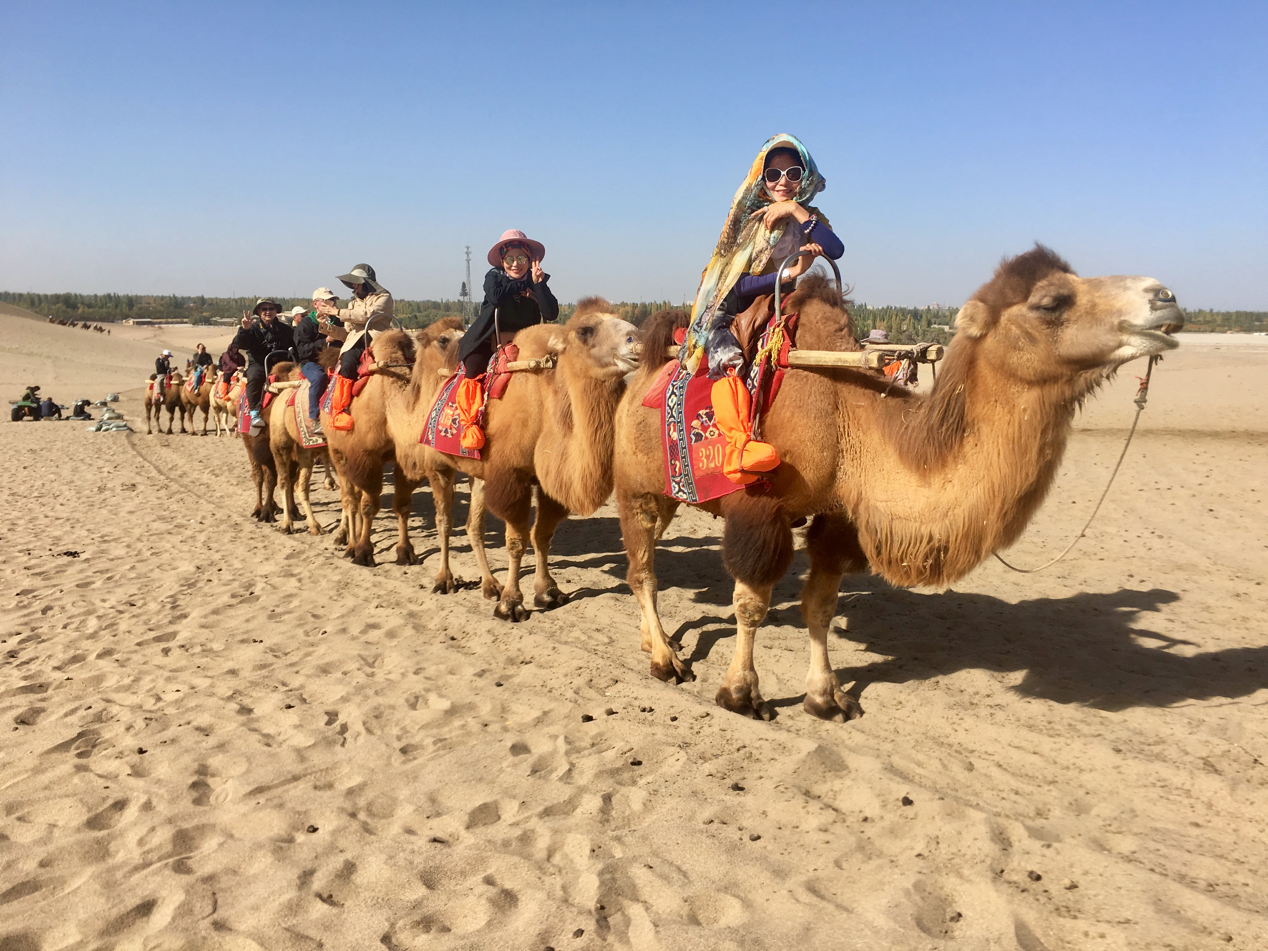 展现真实自己的大气活法