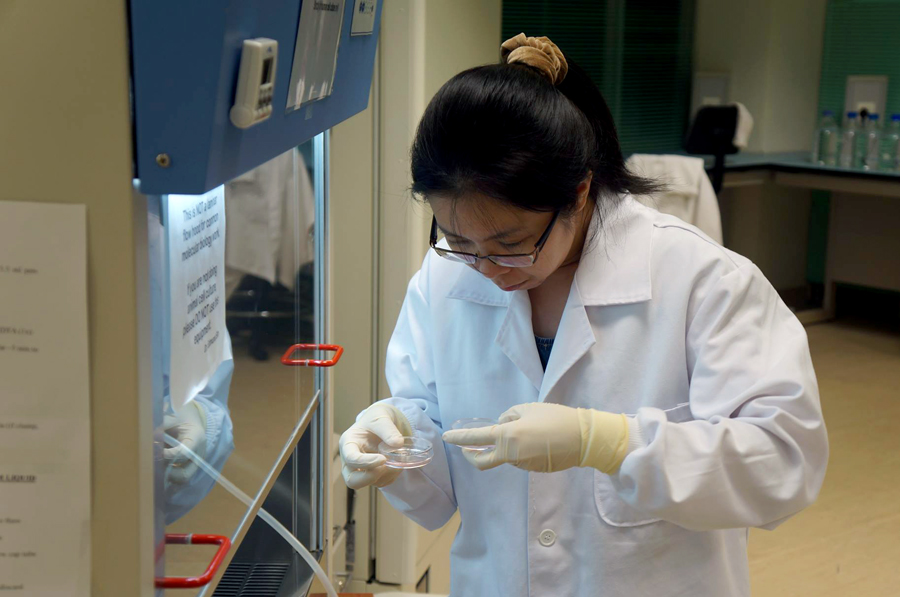 你以为没有关联的做菜、做纸艺和科学实验……