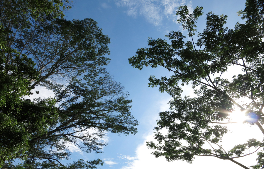 刚刚好，我们在这里遇见。