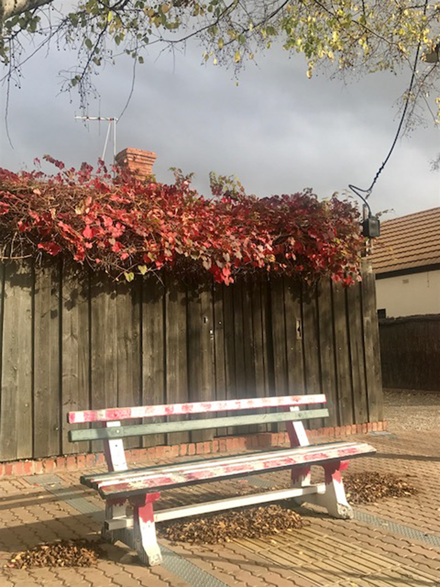 真正内心强大的人，无惧于付出