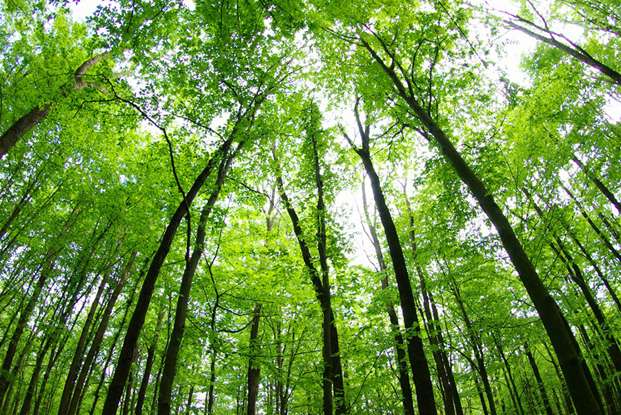 放下预期心理，你的不快乐也跟着放下了！