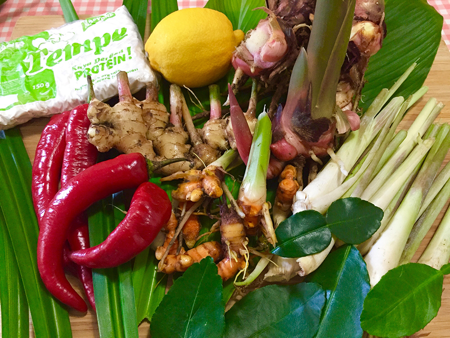 预防疾病的护身符