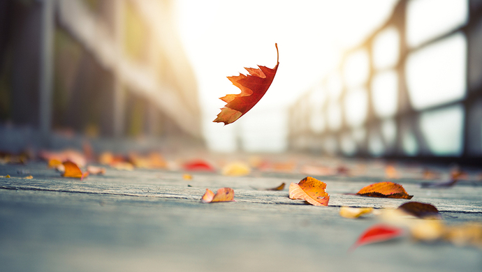 你的一生是空白的格子吗？