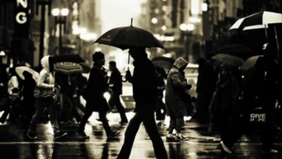 请问这是什么鬼？   