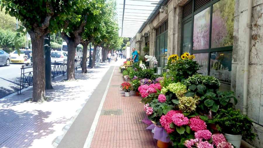 搭讪者 健身操教练