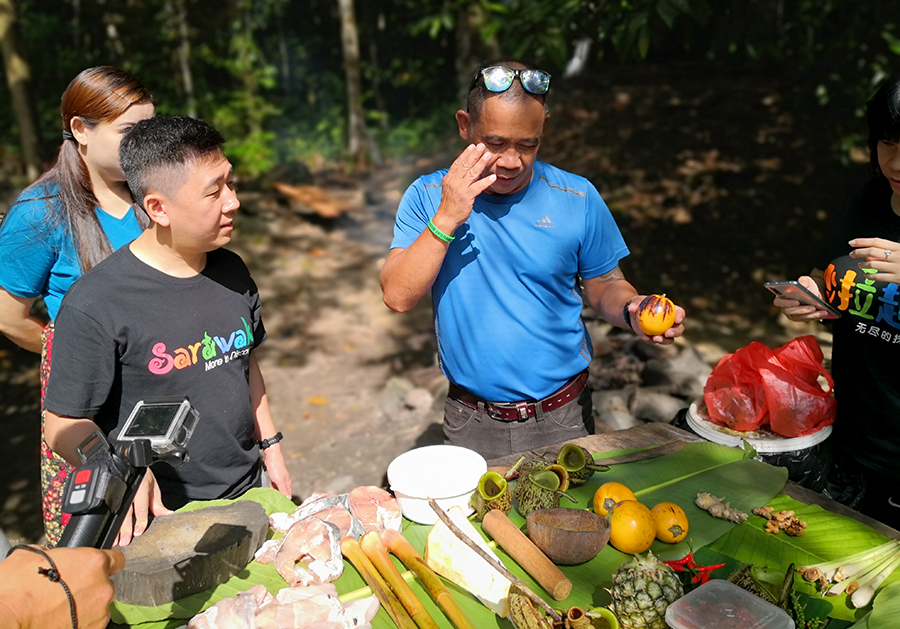 砂拉越热带雨林