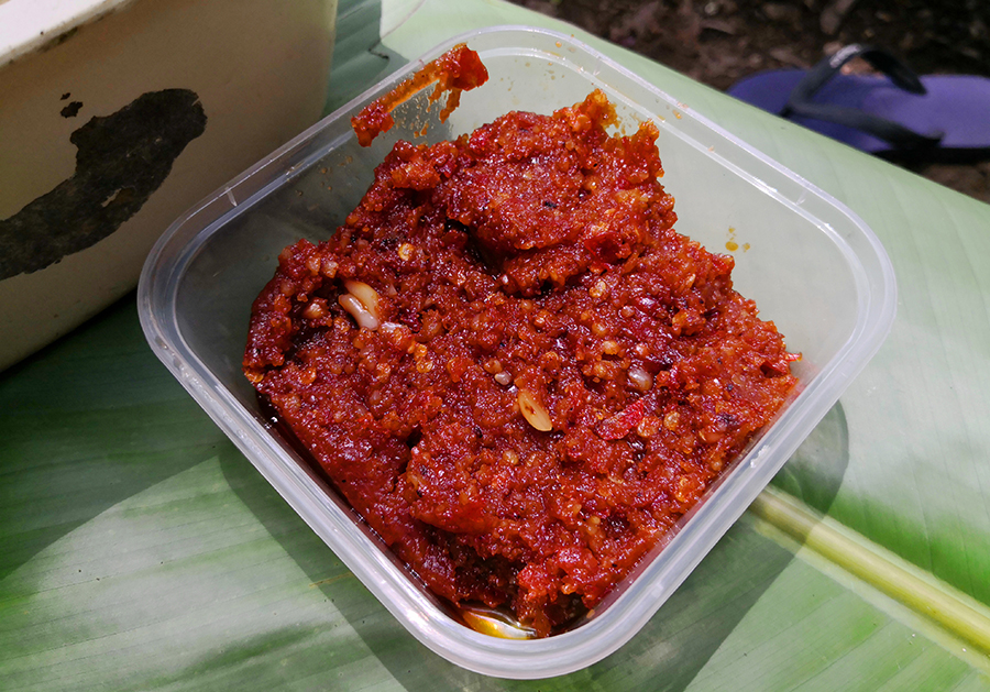 砂拉越热带雨林