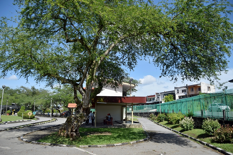 肯雅兰交通公园