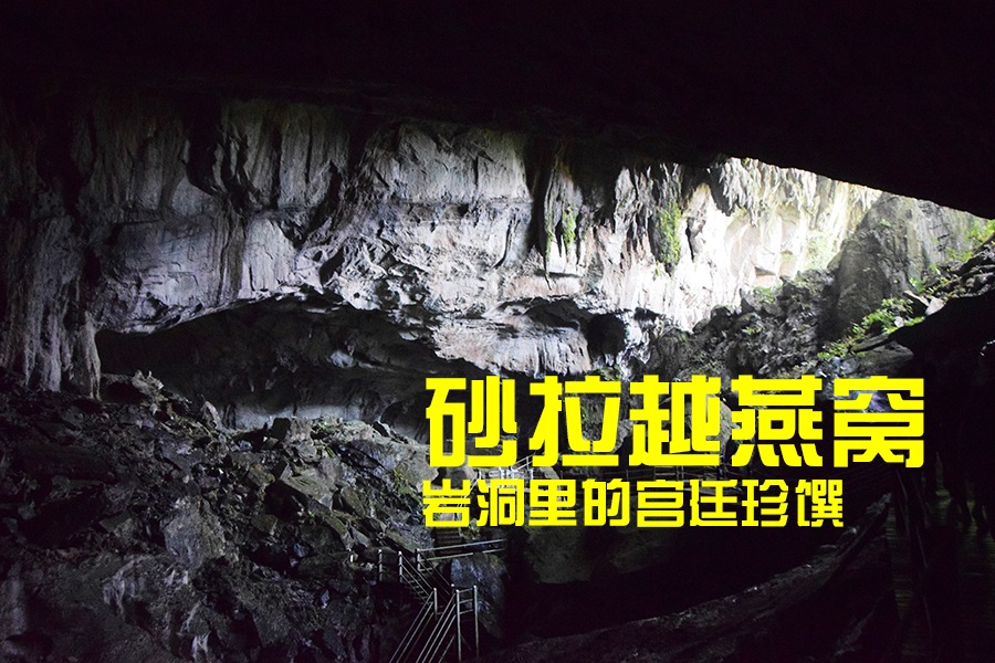 砂拉越燕窝 ，岩洞里的宫廷珍馔。