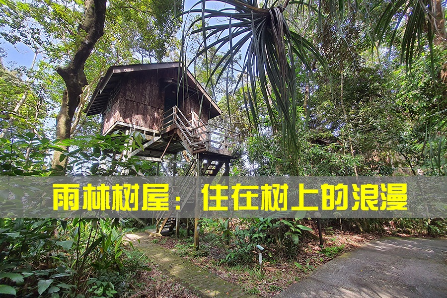雨林树屋 ：住在树上的浪漫