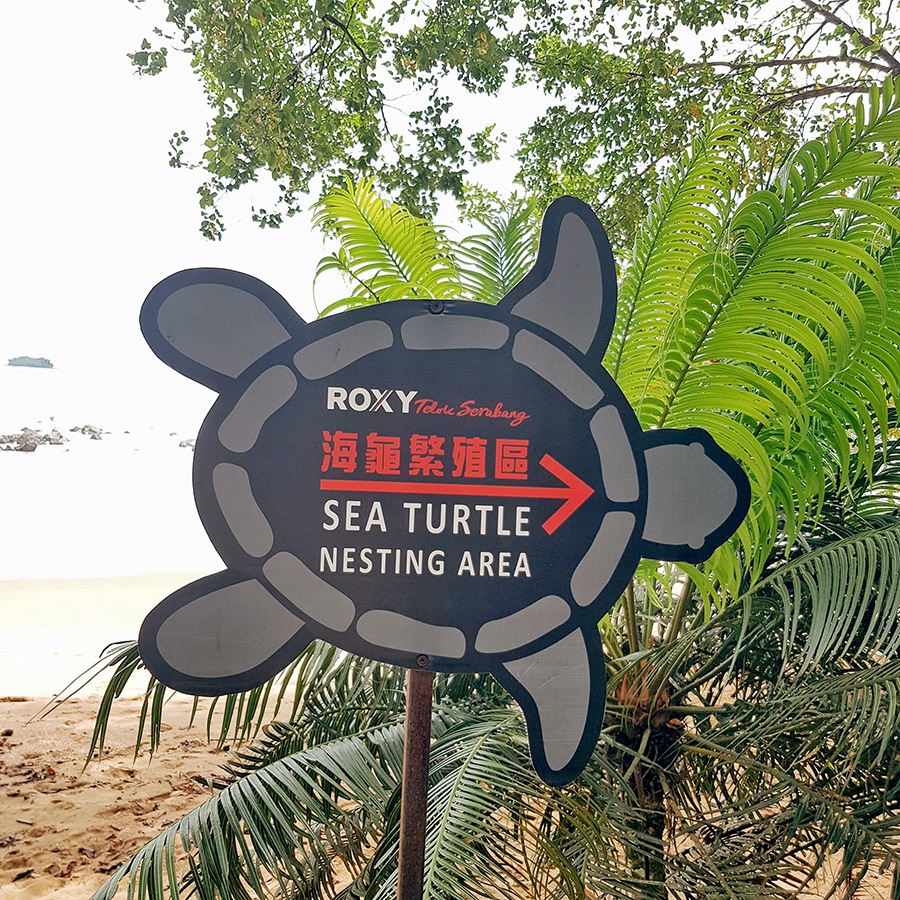 古晋海边度假村