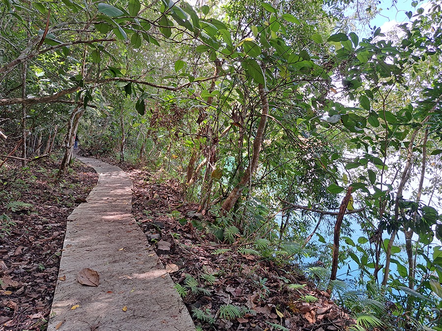 碧湖