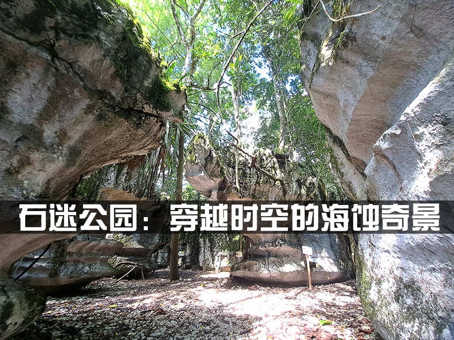 石迷公园 ：穿越时空的海蚀奇景