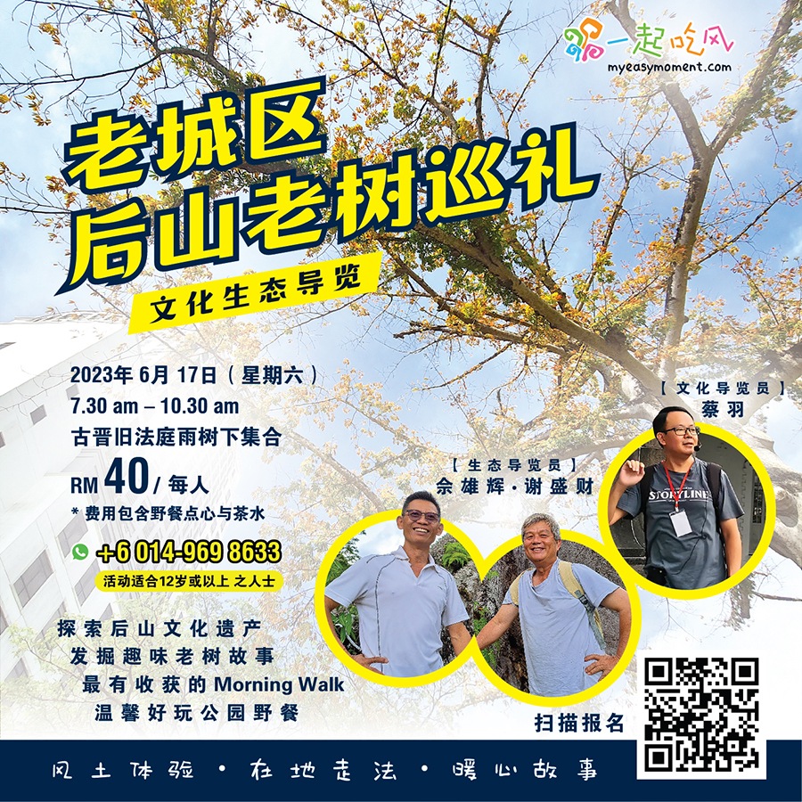 老城区后山老树巡礼