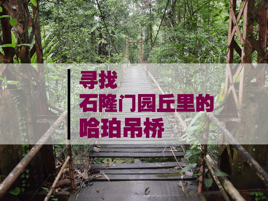 到园丘深处寻找 石隆门哈珀吊桥